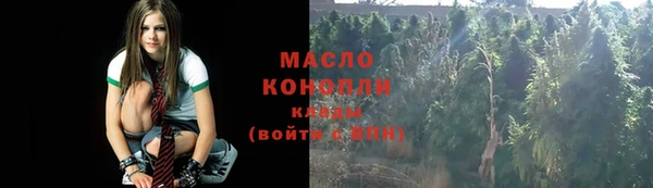 соль ск Алексин