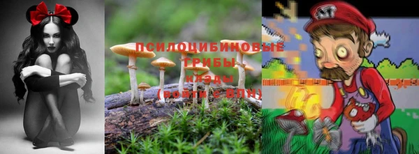 соль ск Алексин