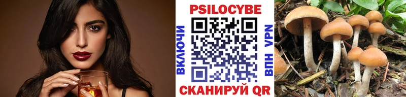 Псилоцибиновые грибы мицелий  Пушкино 
